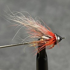 Orange Charm