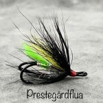 Prestegårdsflua
